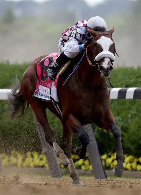 who won belmont stakes.
